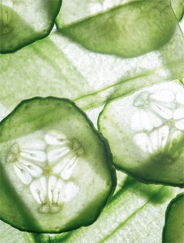 LAVICA — ingrediente 1 cetriolo