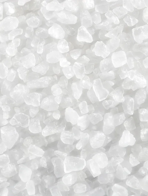 TERRA — ingrediente 2